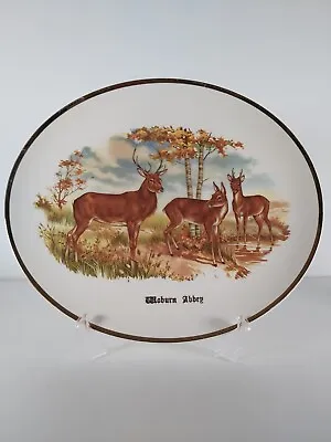 Buy Liverpool Rd. Pottery Oval  Woburn Abbey   Plate • 9£