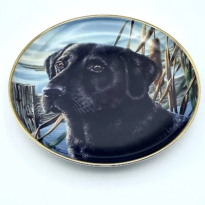 Buy Franklin Mint-Limited Edition Collectors Plate No. GC5930 Man’s Best Friend. • 10.99£