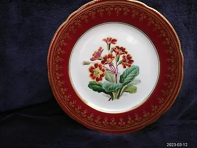 Buy Antique (GOOD CONDITION) China Cabinet Flower Plate C19th Coalport Minton ? • 20£