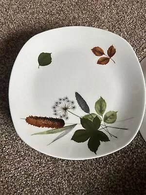 Buy Midwinter Stylecraft Riverside 6 Small Plates • 5£
