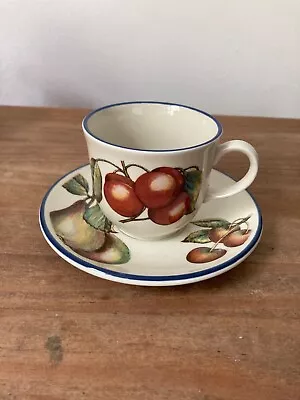 Buy Staffordshire Tableware Autumn Fayre Teacup And Saucer  Made In England  • 15£