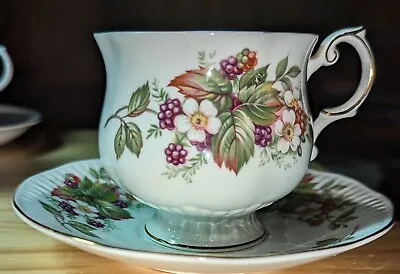 Buy Vintage Queens Fine Bone China Rosina Tea Cup And Saucer Wild Flowers. • 18.93£