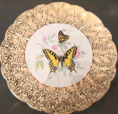 Buy Stunning Royal Sutherland China Swallowtail Butterfly And Gold Plate 9  English  • 12£