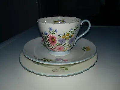 Buy Vintage Shelley ~ Wild Flowers ~ Blue Trim Trio ~ Cup, Saucer & Tea Plate • 12.99£