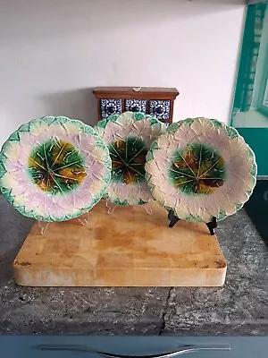 Buy Majolica Begonia Plates X3 • 10£