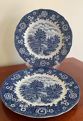 Buy Vintage Alfred Meakin Blue And White - Homeland -  9 1/2  Dinner Plates X 2 • 10.95£