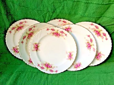 Buy Early 20th C Samuel Radford Fenton Porcelain 6 Dessert Plates / Pink Roses Royal • 30£