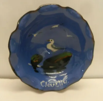Buy Clovelly Barton  Pottery (Torquay)  Fluted Bowl  Hand-painted Seagulls -  4.5” • 10£
