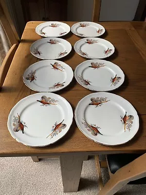 Buy English Fine Bone China Dessert Plates X 8 - Pheasant Pattern • 8£