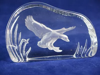 Buy WEDGWOOD CRYSTAL GLASS Reverse Cut Paperweight Wild Birds SELECTION CHOOSE • 11.99£