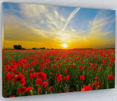 Buy Poppy Field Flower Sunset Canvas Picture Print Framed Wall Art • 76.67£