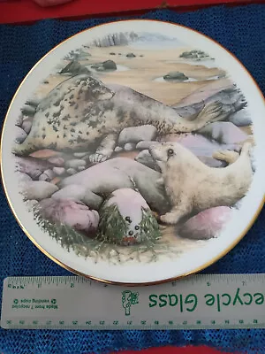 Buy Royal Grafton Collectors Plate - The Protected Species Collection - No. 4 Seal • 3.99£