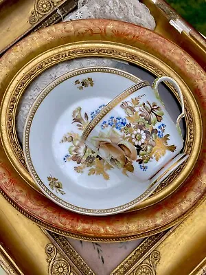 Buy Meissen 18th Cup And Saucer Marcolini Splendid Floral Decor • 386.79£