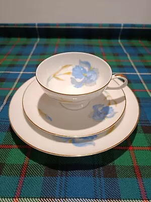 Buy Thomas Rosenthal Blue Iris Floral Teacup Saucer.  Gold Trim. Vintage • 9£