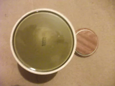 Buy Vintage Hornsea GREEN Large Unlabelled/Blank Storage Jar & Lid Ht 8'' Dia 6'' • 21.40£