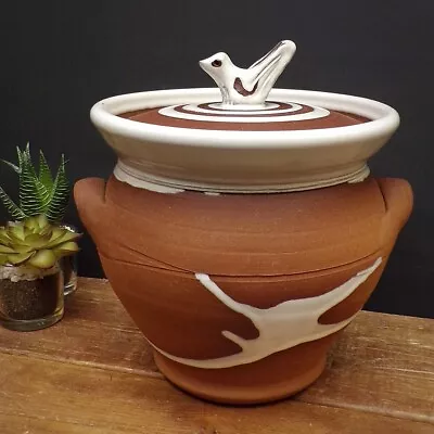 Buy Stephen Pearce Pottery Lidded Pot Irish Studio Pottery Terracotta Shanagarry 8  • 55£