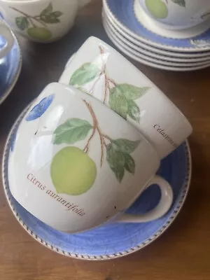 Buy Immaculate Set Of 8 Cups & Saucers Wedge Wood Sarah's Garden  • 50£
