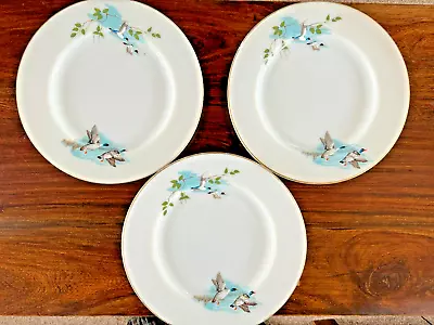 Buy 3 Vintage  Pyrex Dinner Plates Wildfowl Flying Geese Milk Glass 1960s • 10£