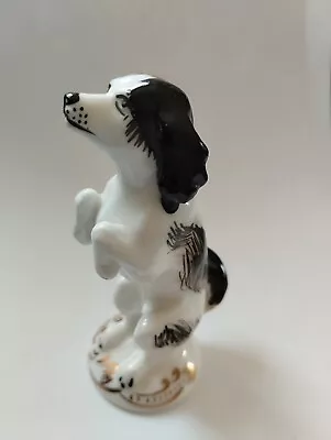 Buy Crown Staffordshire Ceramic BEGGING Dog Unknown Breed But Cute  • 8£
