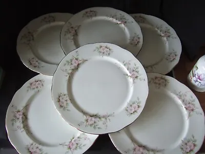 Buy Vintage Duchess Bone China  Floral Design Blossom 26.5cm Dinner Plates X 6 • 17.99£