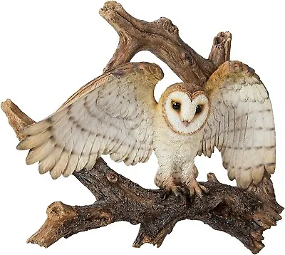 Buy Vivid Arts Wall Décor - Barn Owl Resin Home Or Garden Ornament (BG-BARN-A) • 114.99£