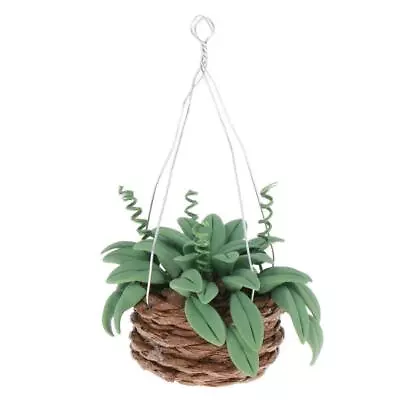 Buy 1/12 Dollhouse Miniature Hanging Plant With Basket Fairy Garden Accessories • 7.07£
