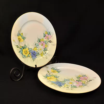 Buy Thomas Bavaria Set Of 2 Plates Hand Painted Wild Roses Daisies 1908-1939 W/Gold • 85.61£