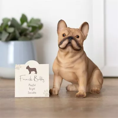 Buy French Bull Dog Resin  Ornament  Memorial Gift • 19.60£