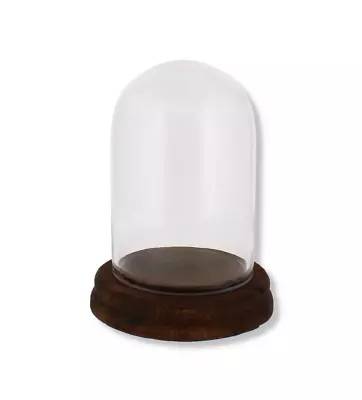 Buy 17cm Glass Display Bell Jar Oval Cloche On Dark Wood Base Display Stand • 14.95£
