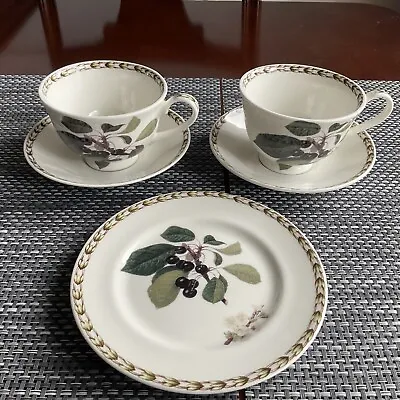 Buy RHS FINE CHINA QUEEN’S HOOKERS FRUIT  5 Piece Cups & Saucers Set • 7.50£