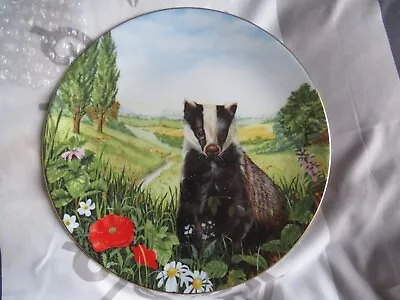 Buy Royal Doulton. Country Wildlife Collection  Safe Retreat  Plate. • 2£