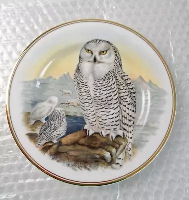 Buy Fenton Plate Snowy Owl Vintage English Bone China John Gould 1804-1881 Gold Edge • 4.99£