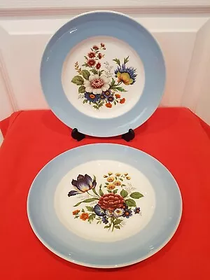 Buy 2 Gorgeous Vintage Purbeck Ceramics 8.5 Inch Floral Design Plates • 12£