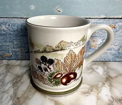 Buy Denby Pottery Seasons Autumn Mug. Conkers • 9.50£