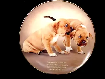 Buy Staffordshire Bull Terrier Plate Loyal & Precious Danbury Mint Seconds Puppies • 7.99£