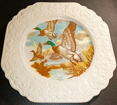 Buy Reclaimed Vintage Lord Nelson Pottery England Flying Mallard Ducks Plate • 7.99£
