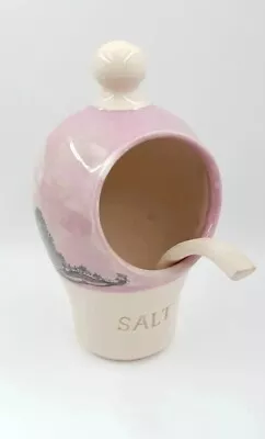 Buy Roger Irving Salt Pig & Spoon Boscastle Pottery Studio Little Pink Mocha Ware • 27.95£
