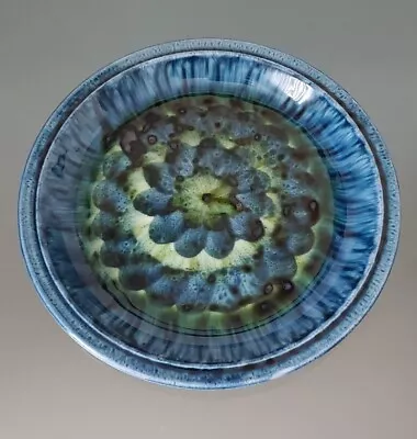 Buy Blue & Green Porthmadog Pottery 26cm Hand Painted Plate • 10£