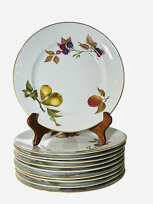 Buy (10) Royal Worcester EVESHAM GOLD Round 8” Salad Plates Set England Vintage 1961 • 189.62£