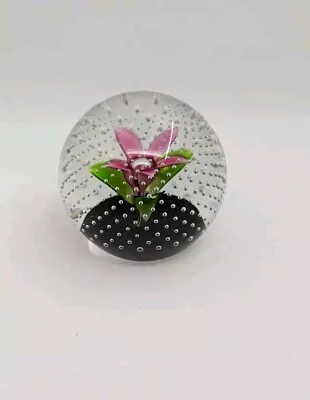 Buy Caithness Scotland Pink Flower In The Rain Paperweight Numbered E8177 • 49.99£