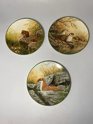 Buy Royal Doulton Bone China X3 Plate Rollinson's Portraits Of Nature Otter 1988 #RA • 6.97£