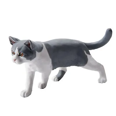 Buy John Beswick Connoisseur Collectors Cat Figurine - British Shorthair Bi Colour • 58.99£