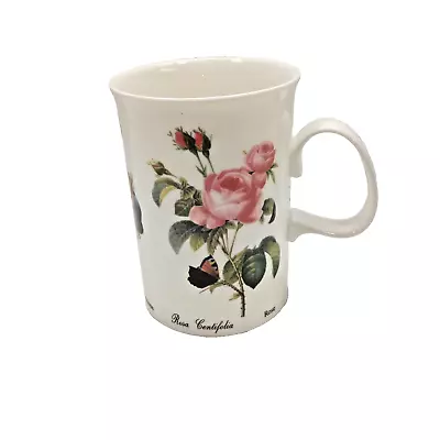 Buy DUNOON Osborne Botanical Illustrations Coffee Mug Cup Fine Bone China England UK • 11.32£