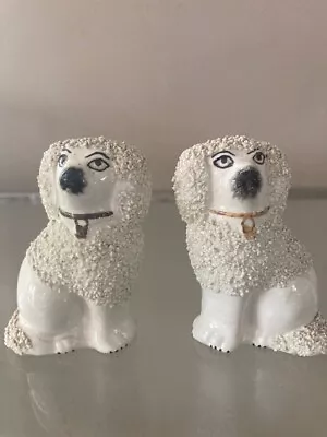 Buy Staffordshire Confetti Dog Pair - 19th Century • 75.88£
