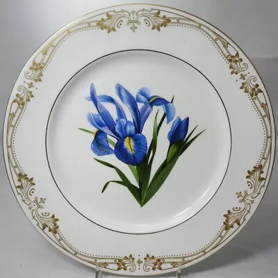 Buy CHELSEA GOLD IRIS By Aynsley Dinner Plate NEW NEVER USED Made England • 54.05£