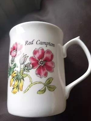 Buy Vintage Mug Cup Floral  Red Campion “duchess” Fine Bone China White Unused • 5£