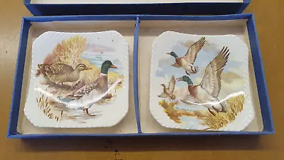 Buy 2 X Royal Adderley Floral Bone China Mallards Ducks Plates Dishes Bowls Boxed • 0.99£