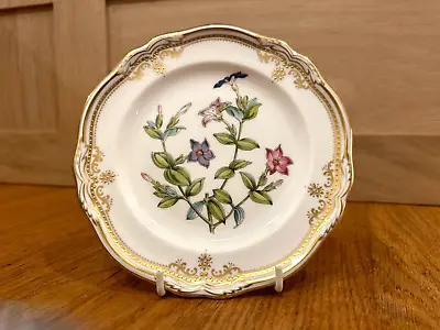 Buy Spode Stafford Flowers Fine Bone China England Tea Plate - Tachiadenus  Y8519-AO • 40£