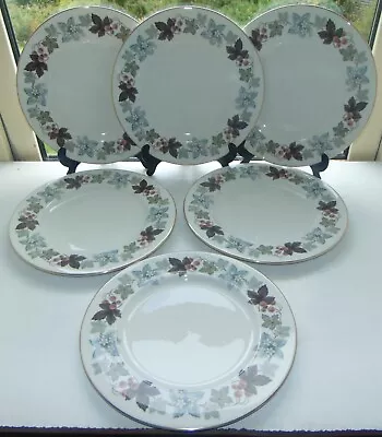 Buy Royal Doulton Fine Bone China TC1016 Camelot Pattern 6 X Dinner  Plates 27cm • 25£