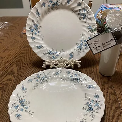 Buy VINTAGE 2 Dinner Plates Myott Staffordshire Forget Me Not 10  Made In England • 24.70£